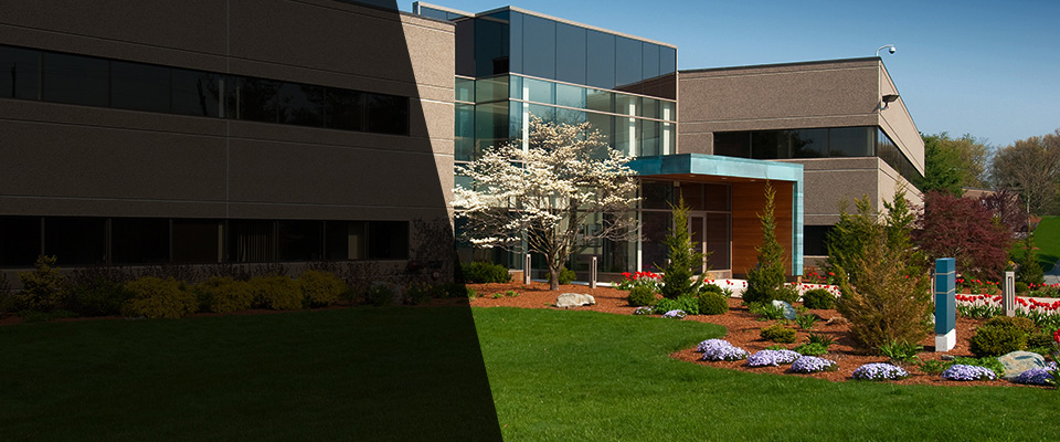 Lake Panasoffkee Landscapers