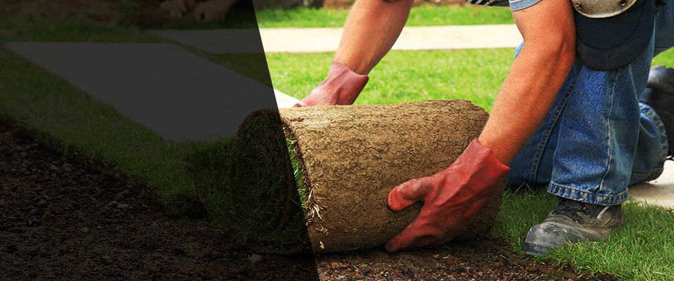 Lake Panasoffkee Landscapers